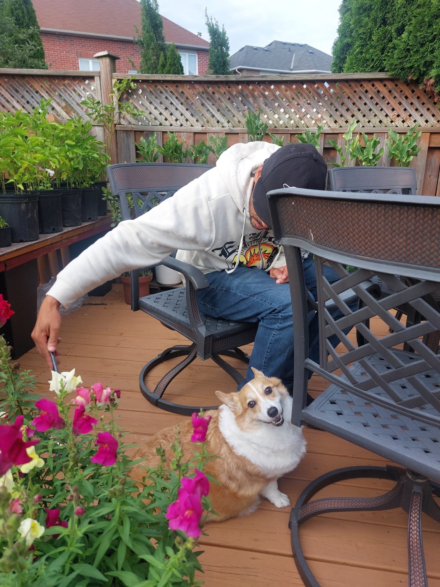 Mia on the deck near the flowers