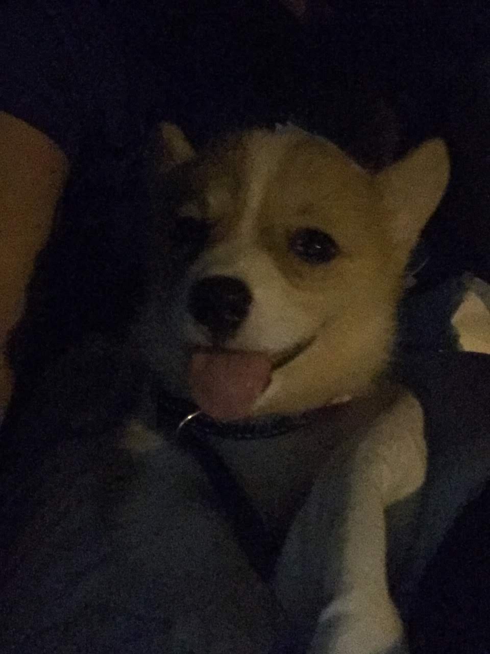 Young Mia with her tongue out